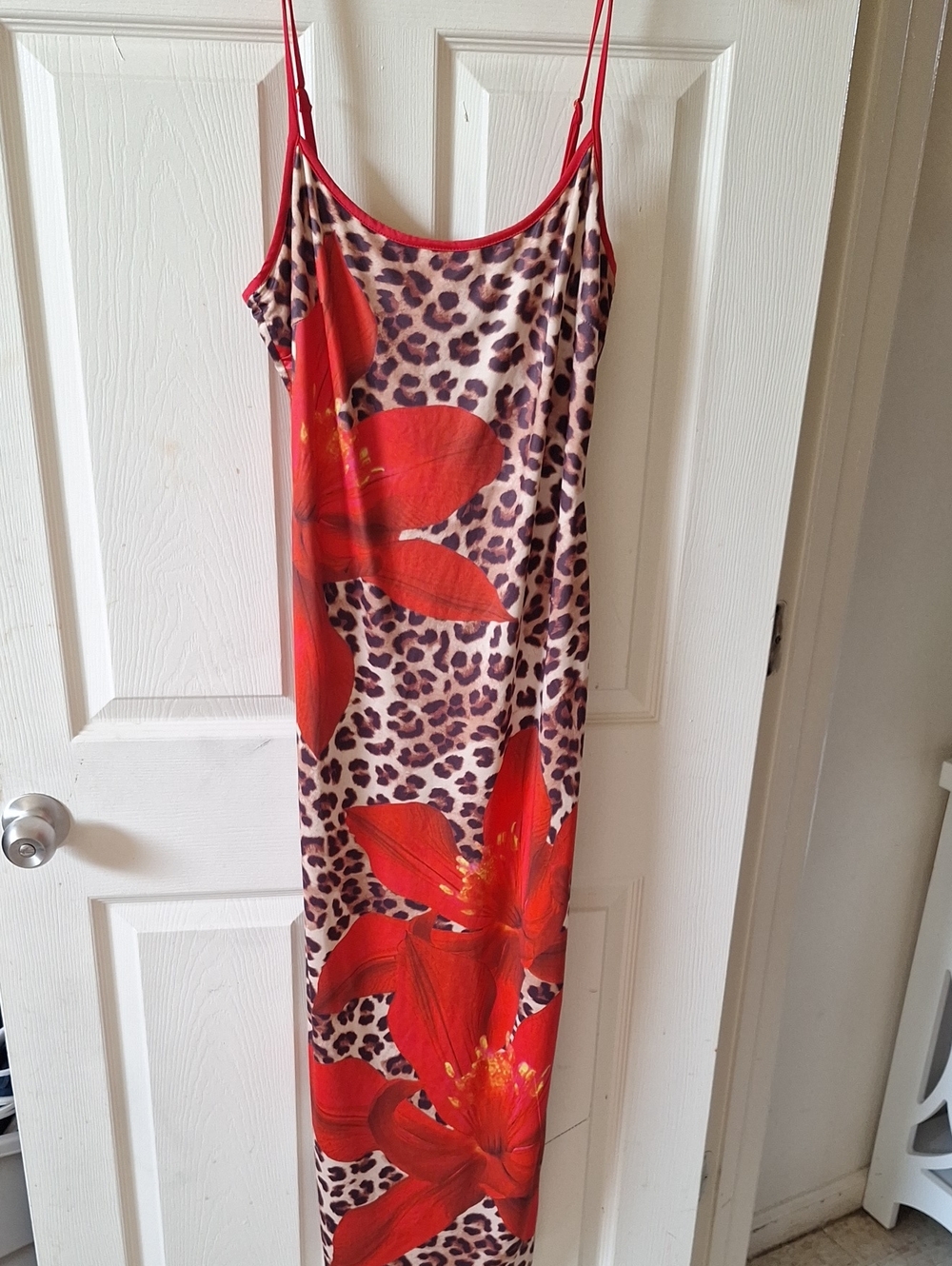Runway The Label Red Floral Leopard-Print Maxi Dress